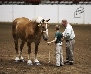 Brian judging youth showmanship at the 2015 Ohio State Fair Draft Horse Show